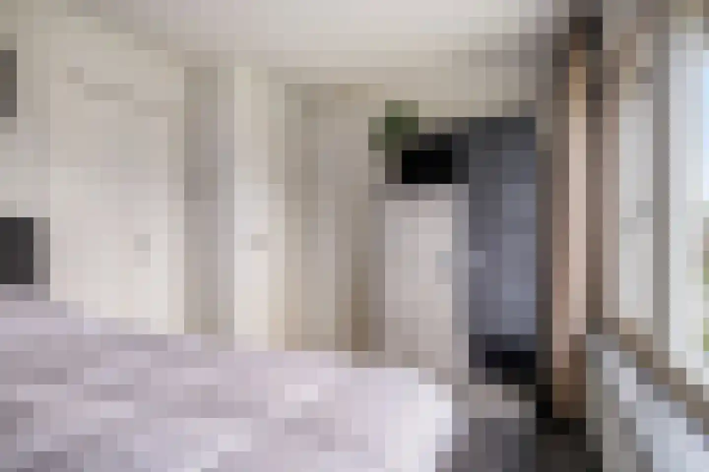 Schimmelpenninckstraat 23 Grave thumbnail 19