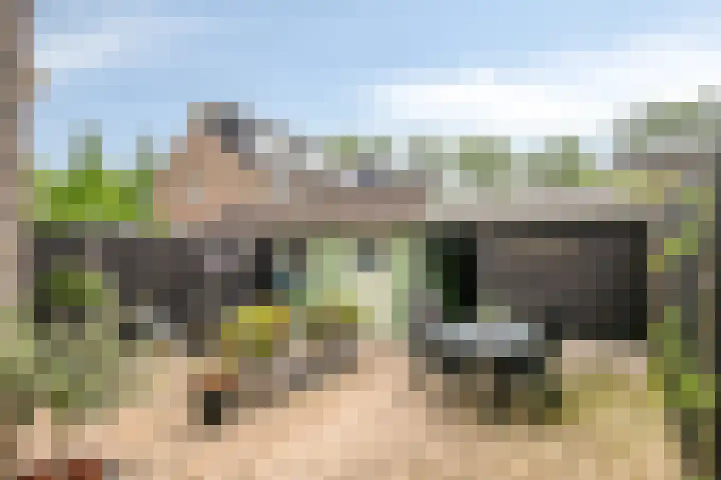 Schimmelpenninckstraat 23 Grave thumbnail 26