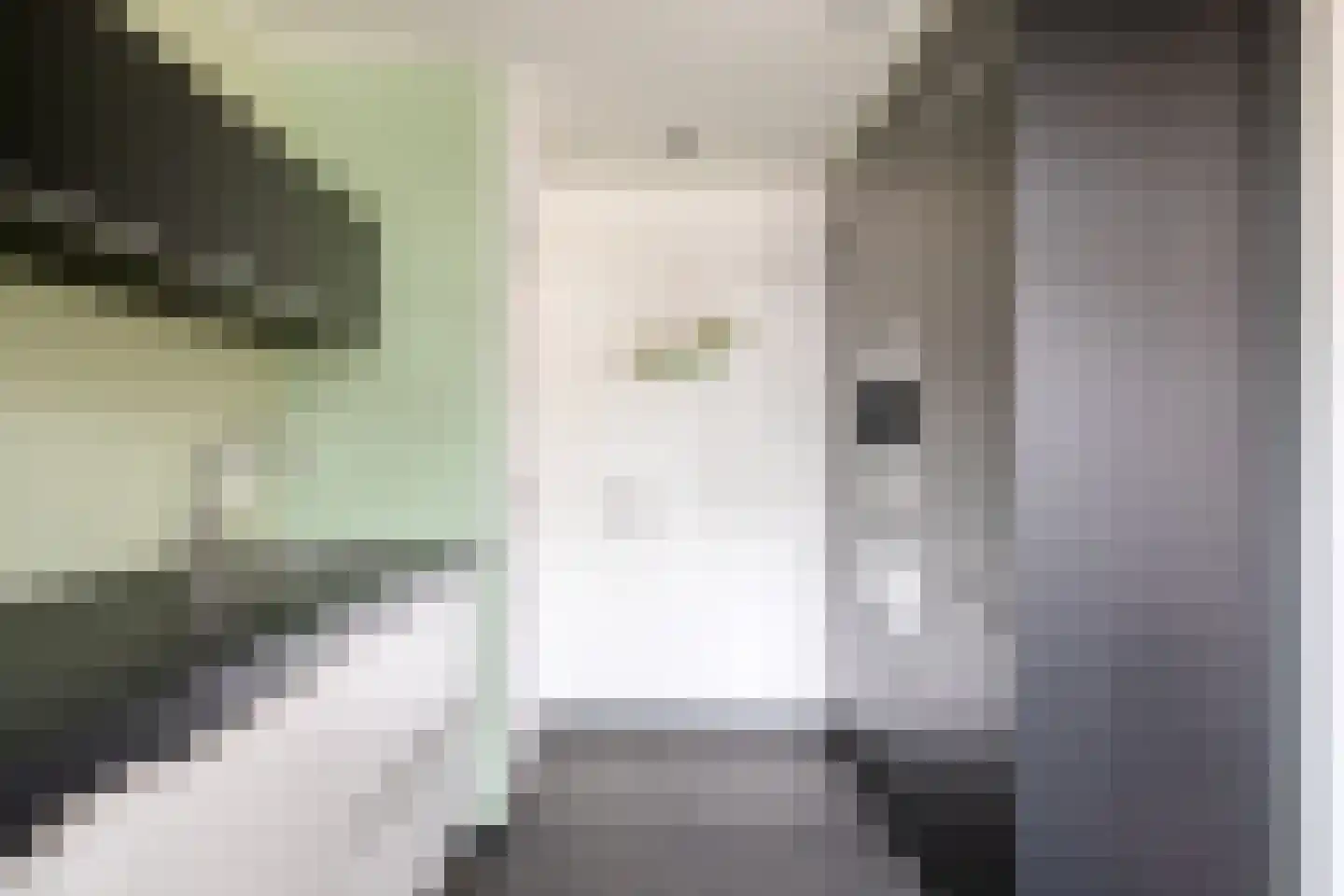 Schimmelpenninckstraat 23 Grave thumbnail 5