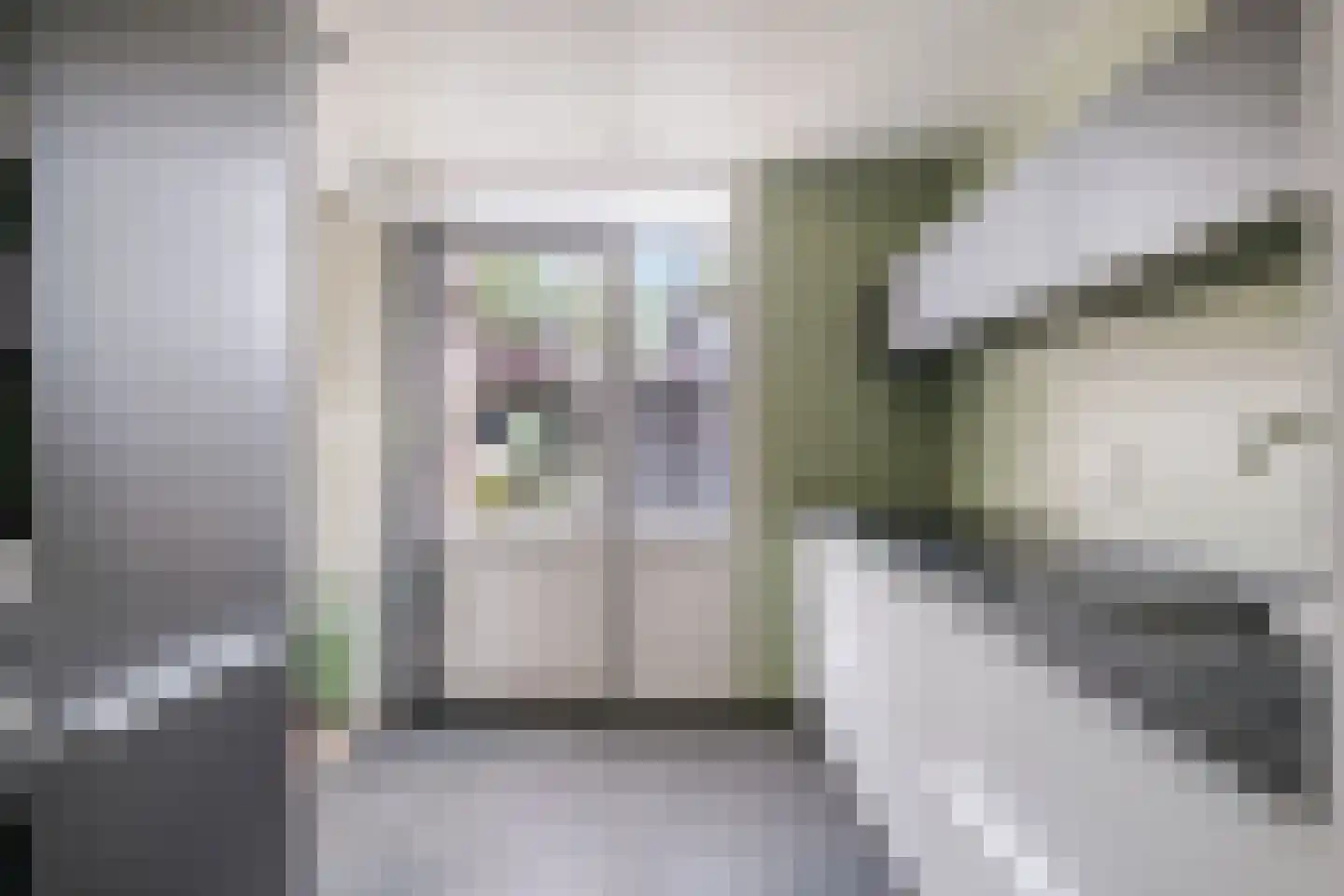 Schimmelpenninckstraat 23 Grave thumbnail 6