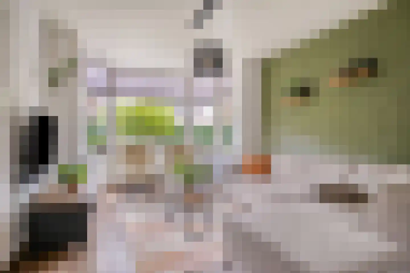 Schimmelpenninckstraat 23 Grave thumbnail 9