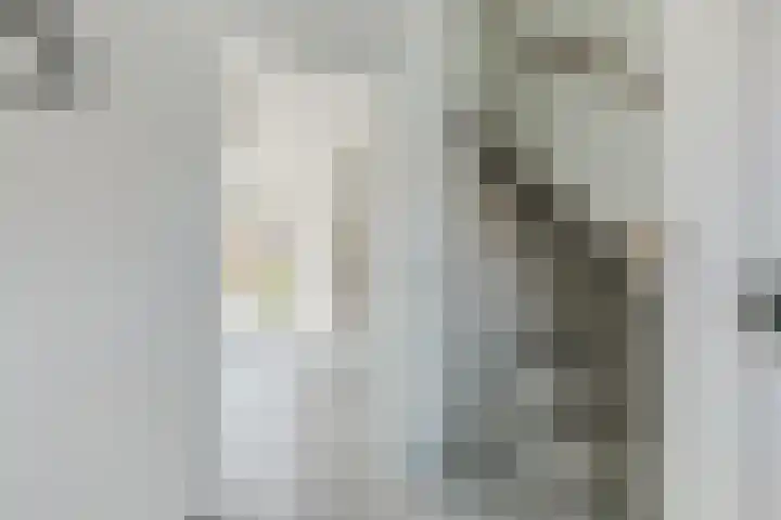 Schimmelpenninckstraat 25 Grave thumbnail 12