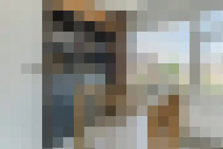 Schimmelpenninckstraat 25 Grave thumbnail 18