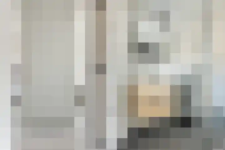 Schimmelpenninckstraat 25 Grave thumbnail 20