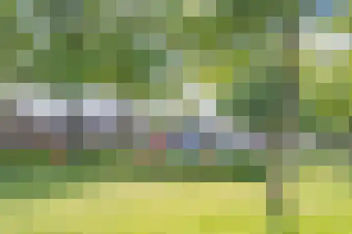 Schimmelpenninckstraat 25 Grave thumbnail 25