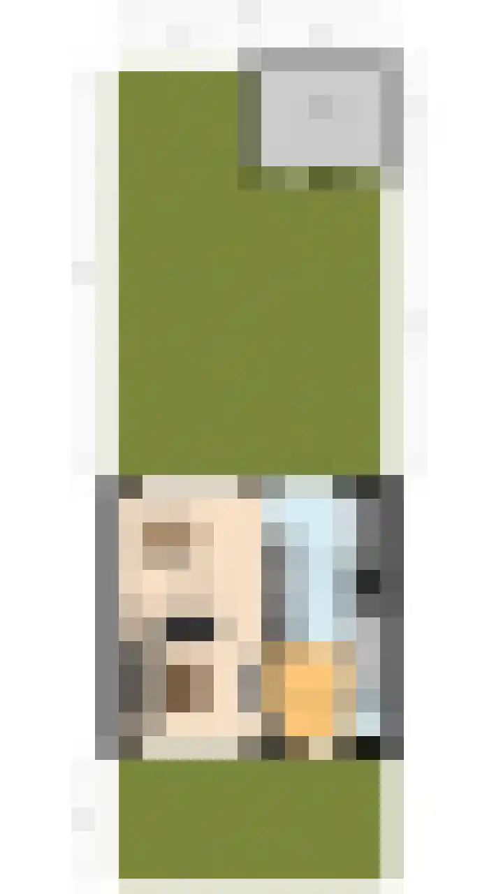 Schimmelpenninckstraat 25 Grave thumbnail 32