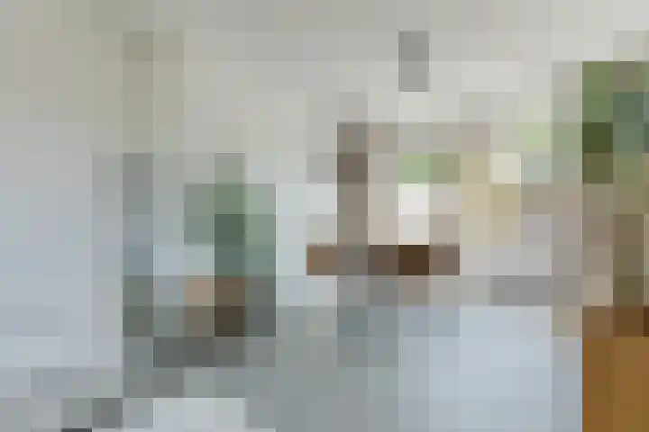 Schimmelpenninckstraat 25 Grave thumbnail 4