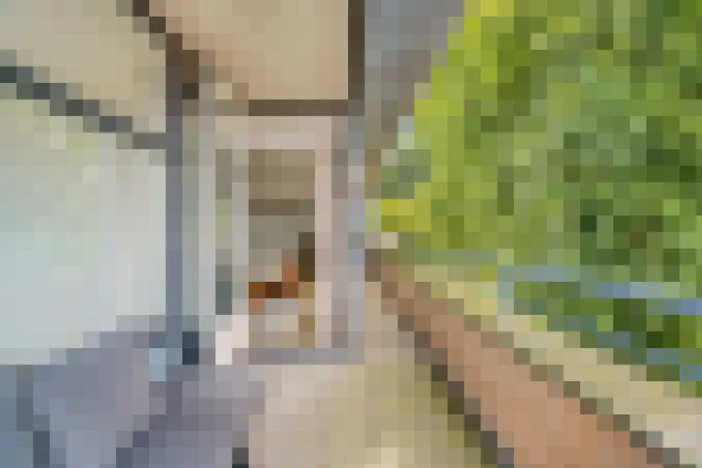 Schimmelpenninckstraat 3 S Amersfoort thumbnail 24