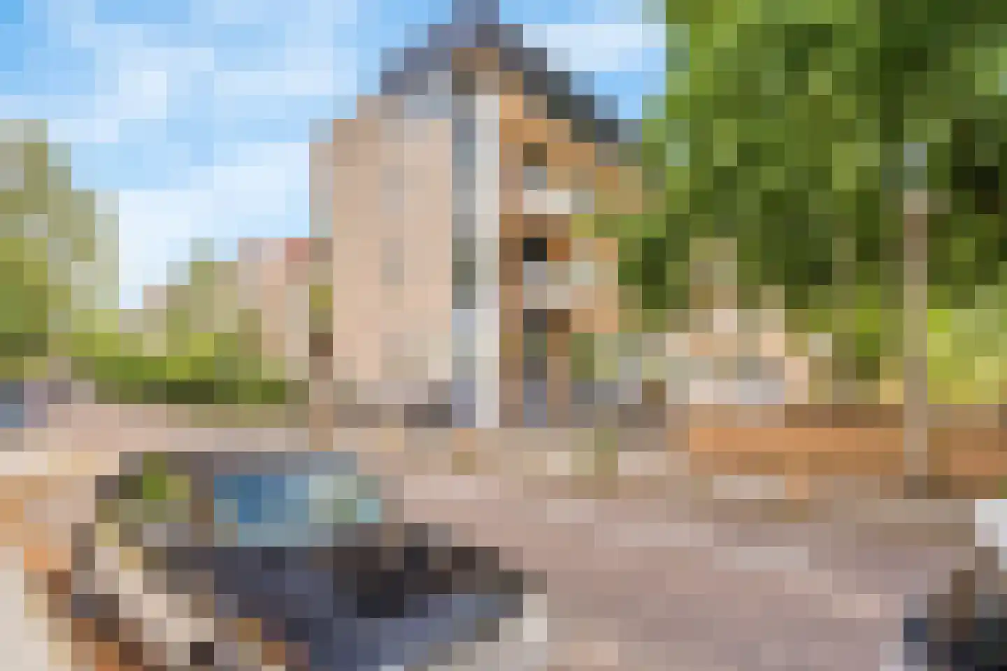 Schimmelpenninckstraat 3 S Amersfoort thumbnail 5