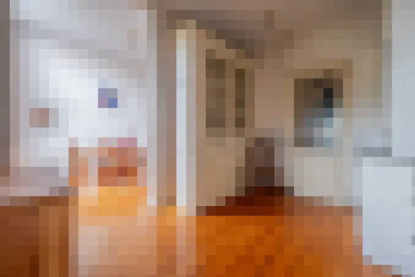 Schimmelpenninckstraat 38 Amersfoort thumbnail 16
