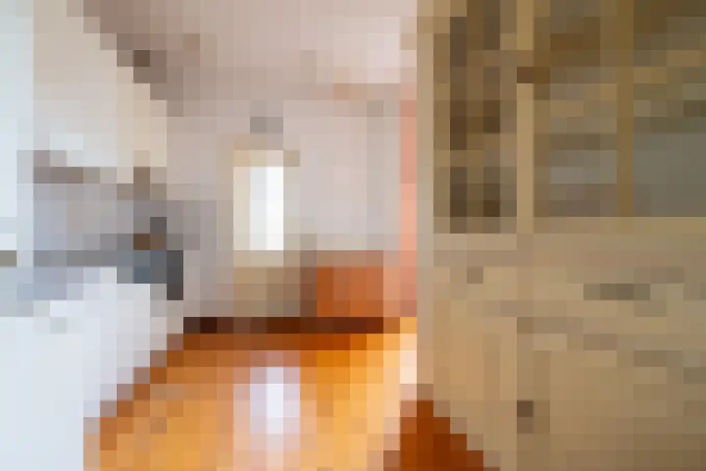 Schimmelpenninckstraat 38 Amersfoort thumbnail 18