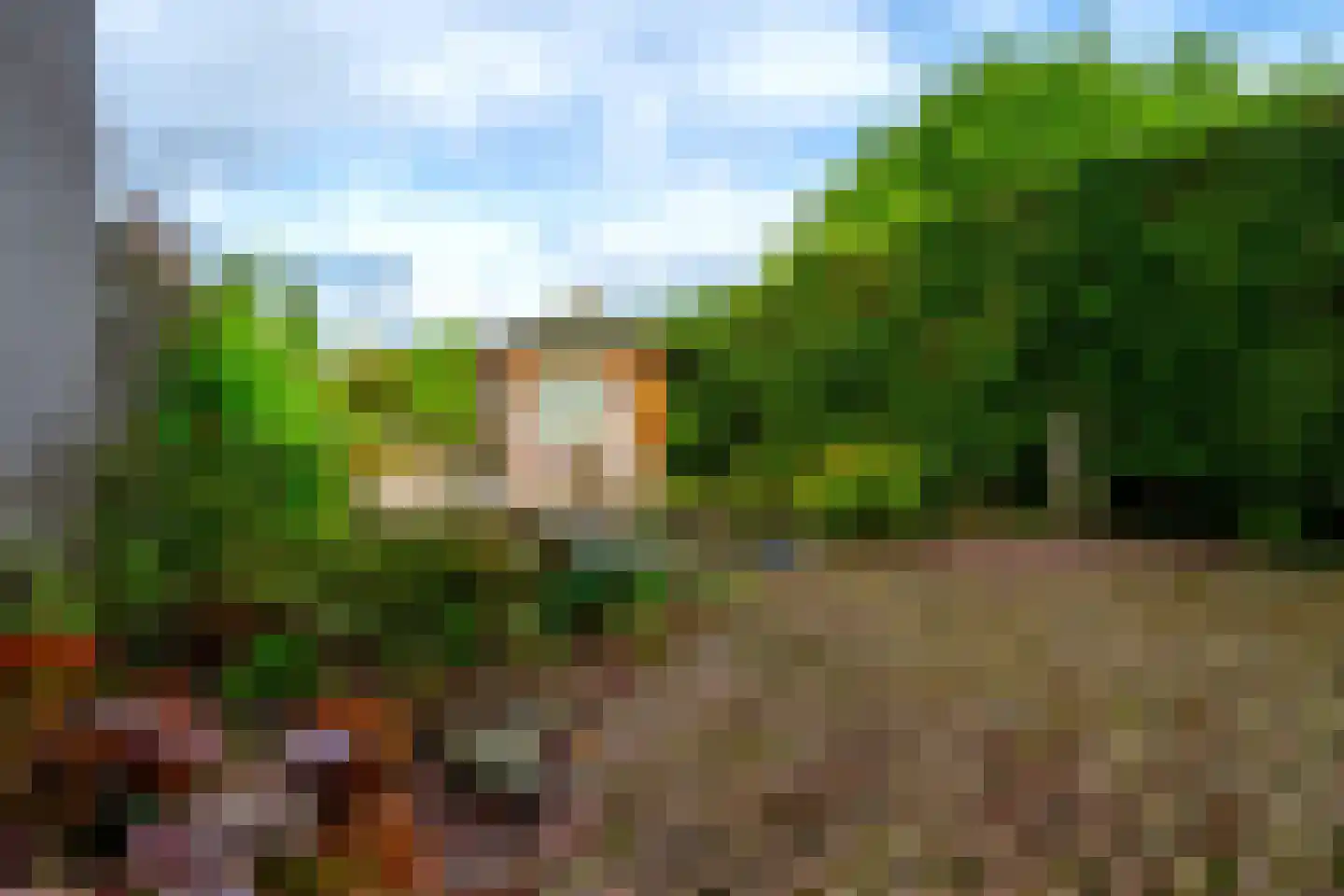 Schimmelpenninckstraat 38 Amersfoort thumbnail 43