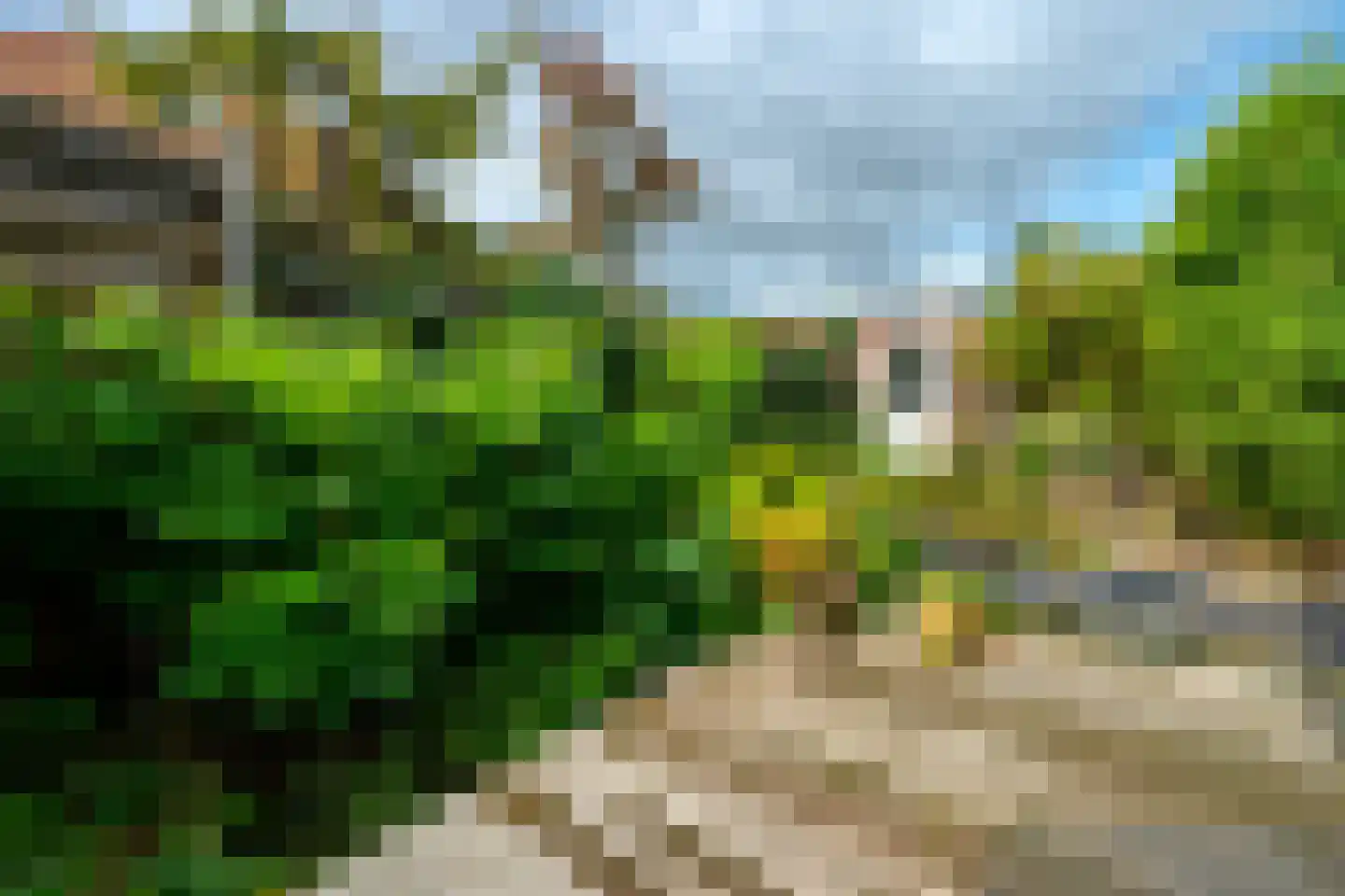 Schimmelpenninckstraat 38 Amersfoort thumbnail 44