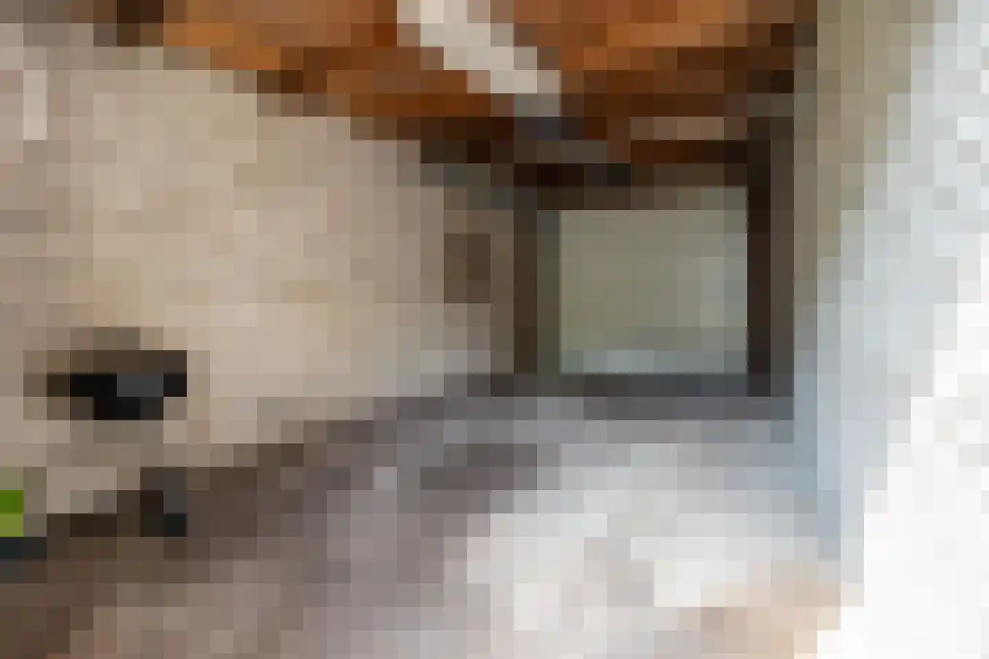 Schimmelpenninckstraat 38 Amersfoort thumbnail 47