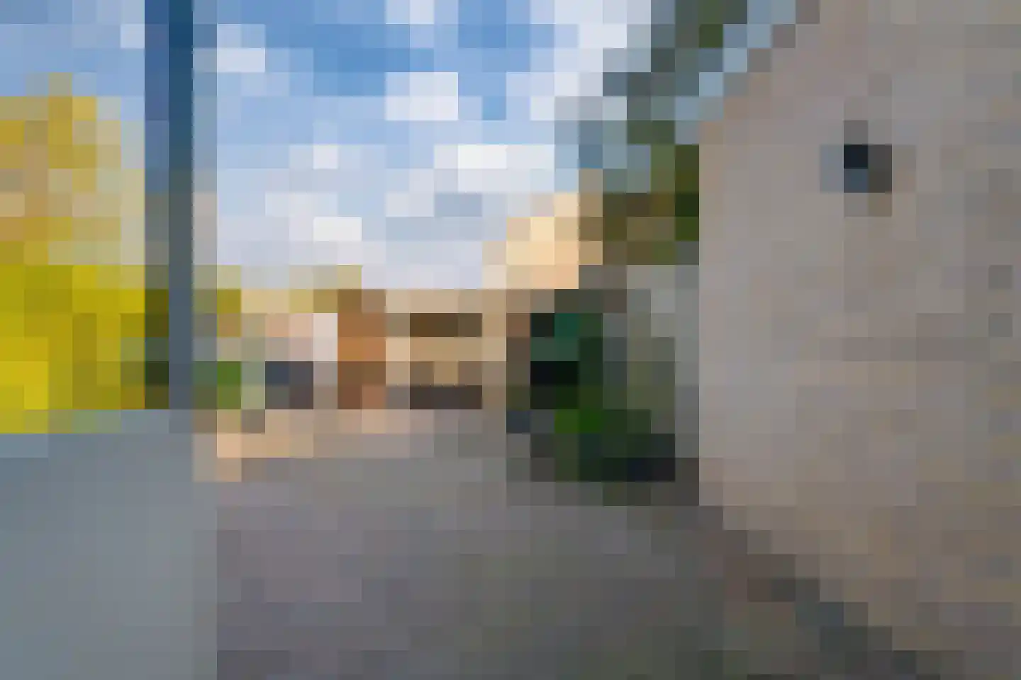Schimmelpenninckstraat 4 Zevenaar thumbnail 25