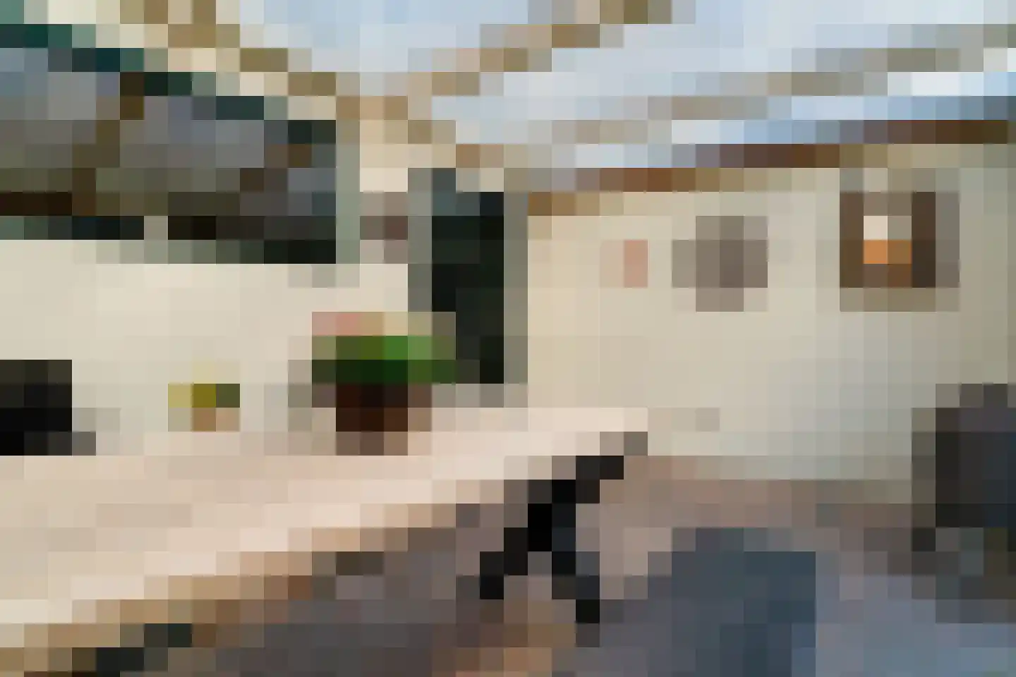 Schimmelpenninckstraat 4 Zevenaar thumbnail 29