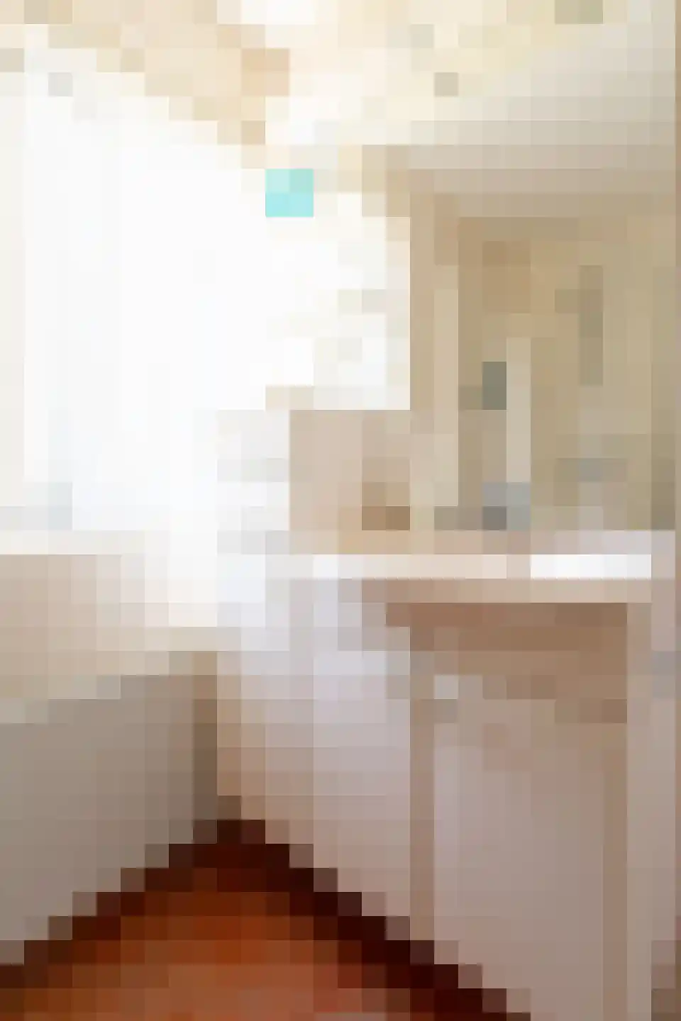 Schimmelpenninckstraat 4 Zevenaar thumbnail 33