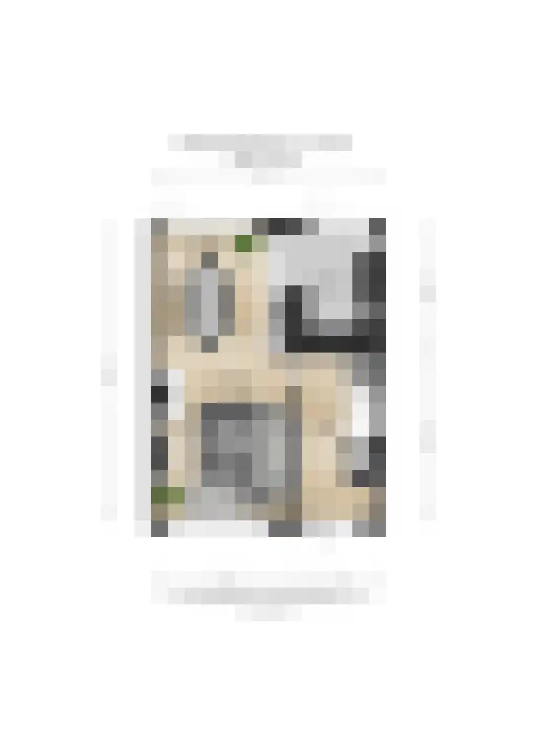 Schimmelpenninckstraat 4 Zevenaar thumbnail 47