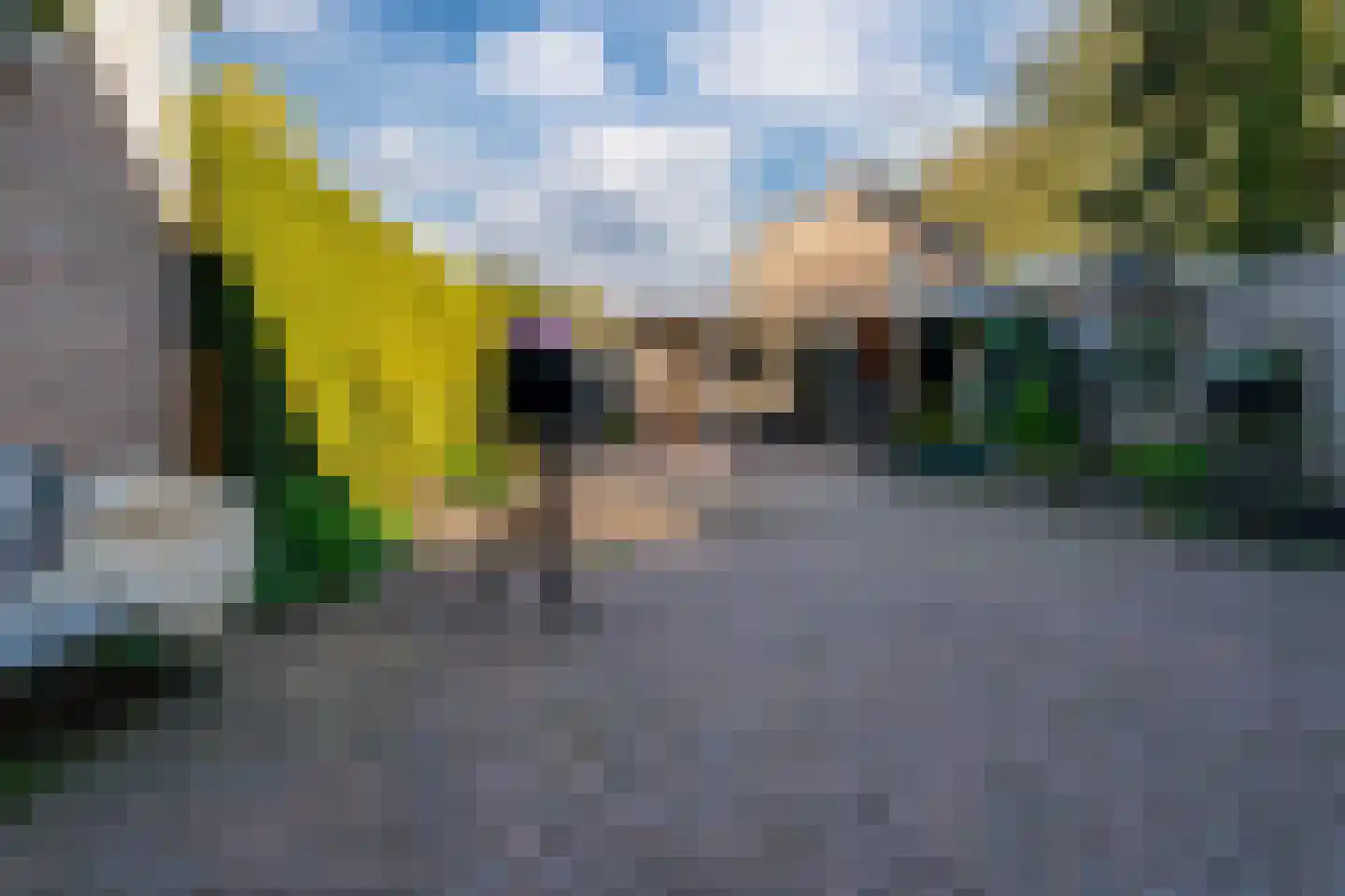 Schimmelpenninckstraat 4 Zevenaar thumbnail 5