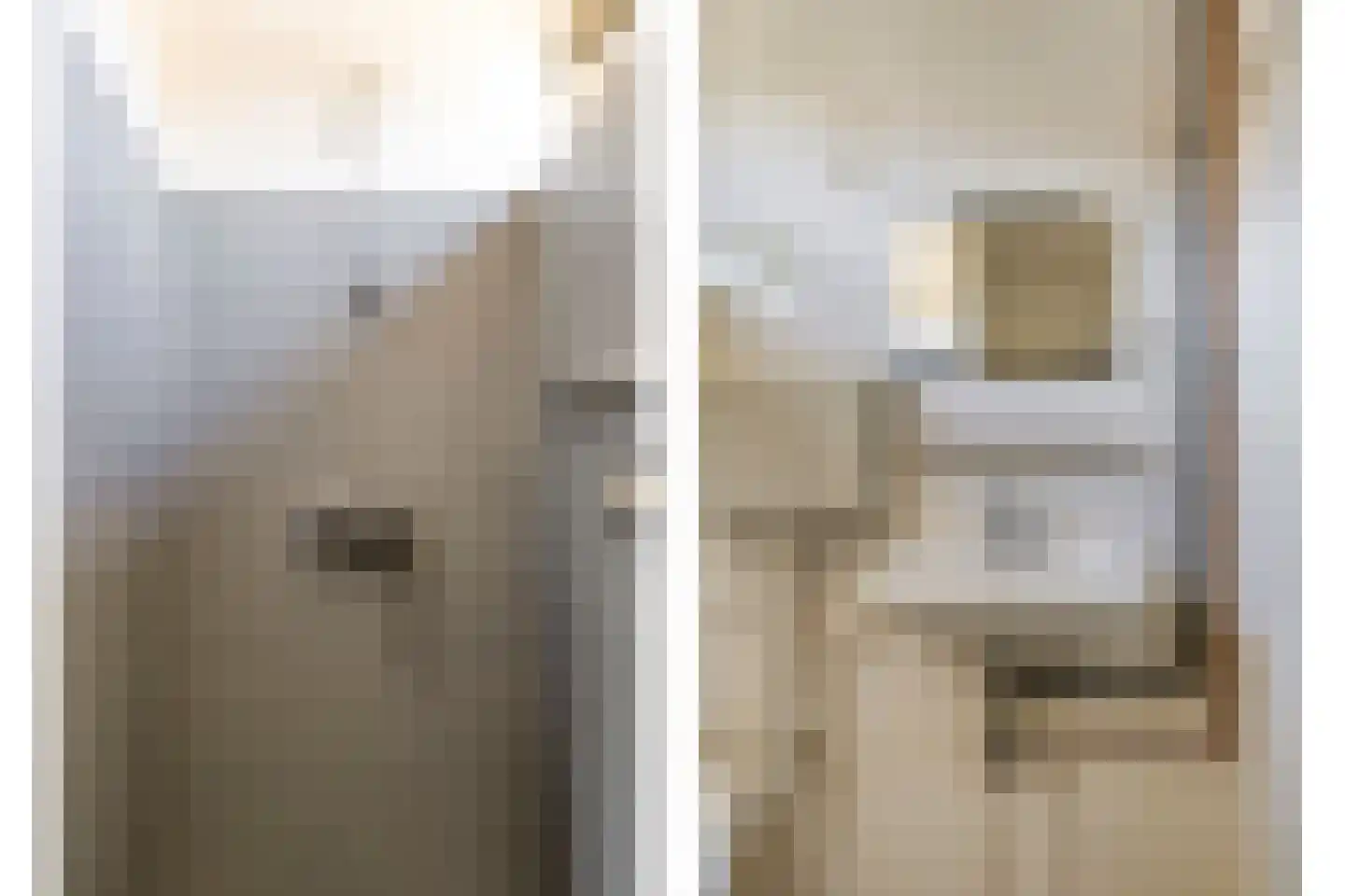 Schimmelpenninckstraat 5 Olst thumbnail 20