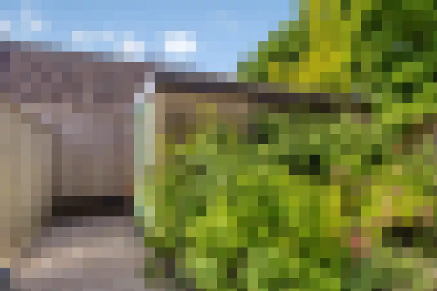 Schimmelpenninckstraat 5 Olst thumbnail 25