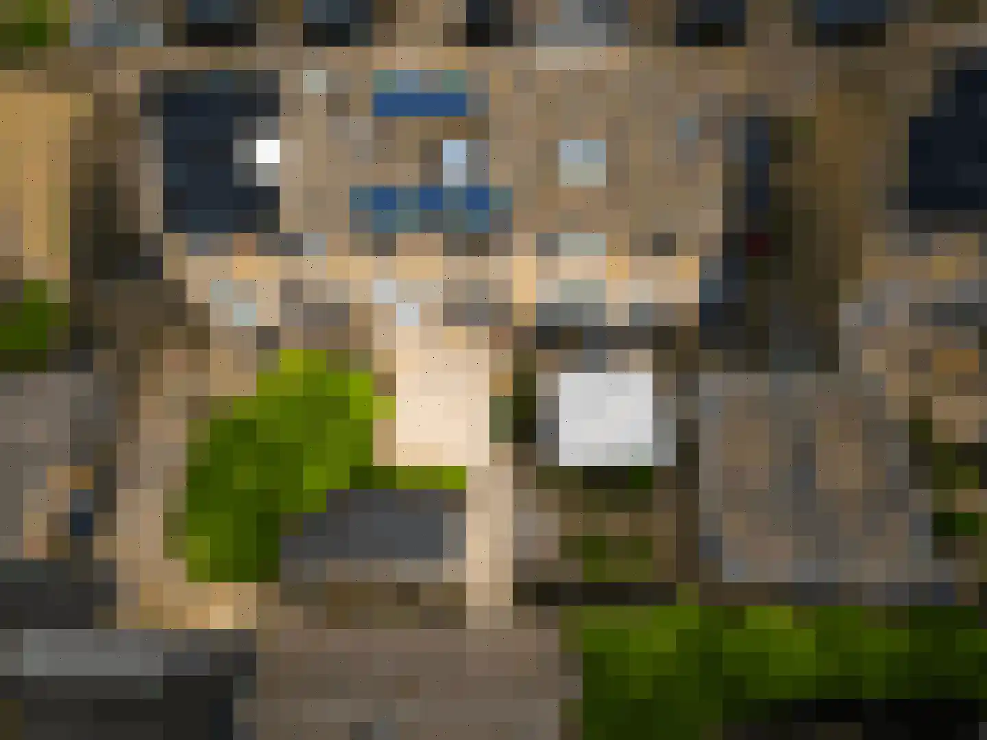 Schimmelpenninckstraat 5 Olst thumbnail 26