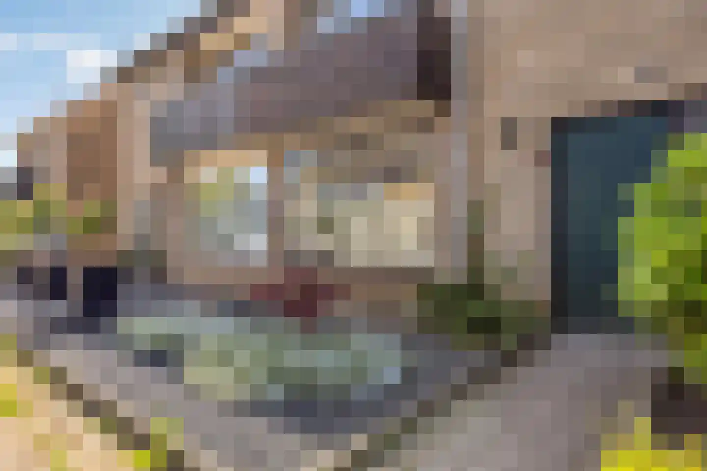 Schimmelpenninckstraat 5 Olst thumbnail 6