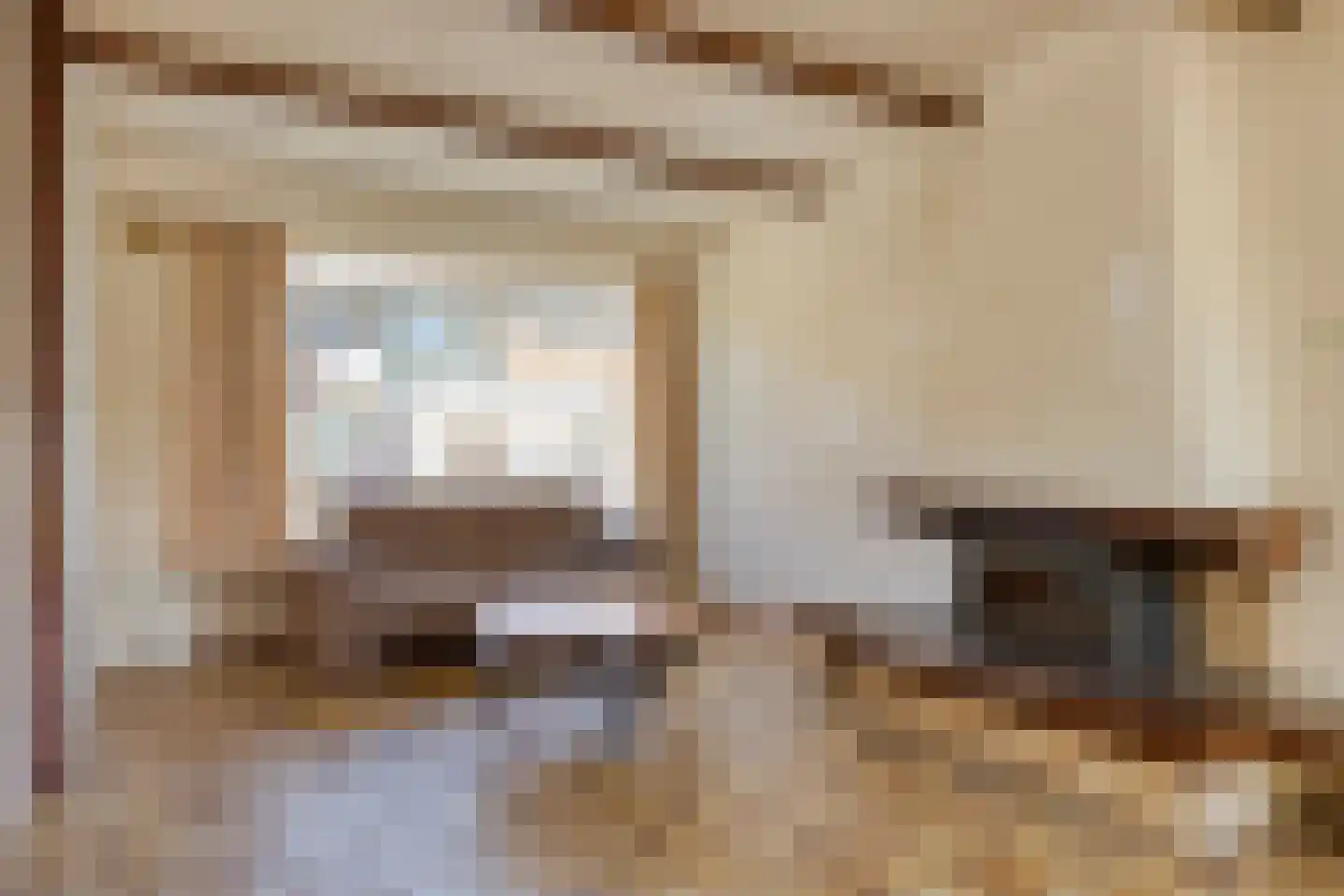 Schimmelpenninckstraat 5 Olst thumbnail 8