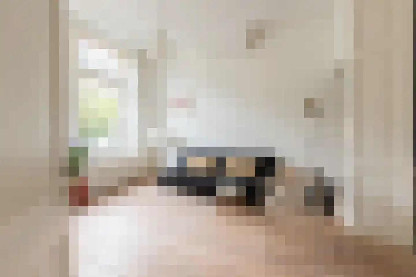 Schimmelpenninckstraat 62 Amersfoort thumbnail 12