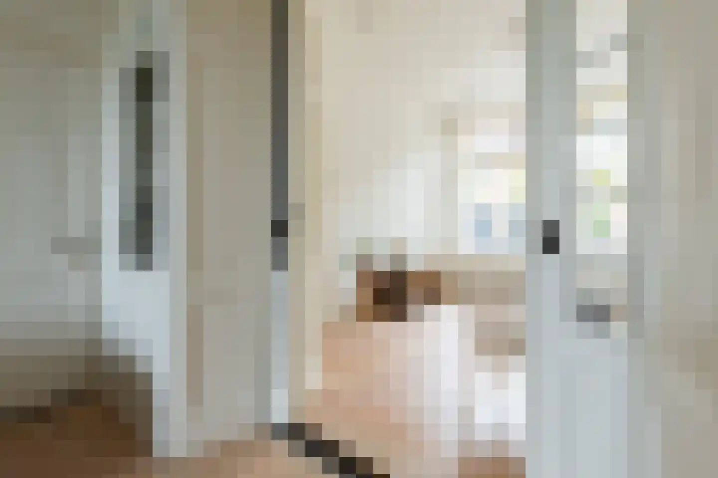 Schimmelpenninckstraat 62 Amersfoort thumbnail 14