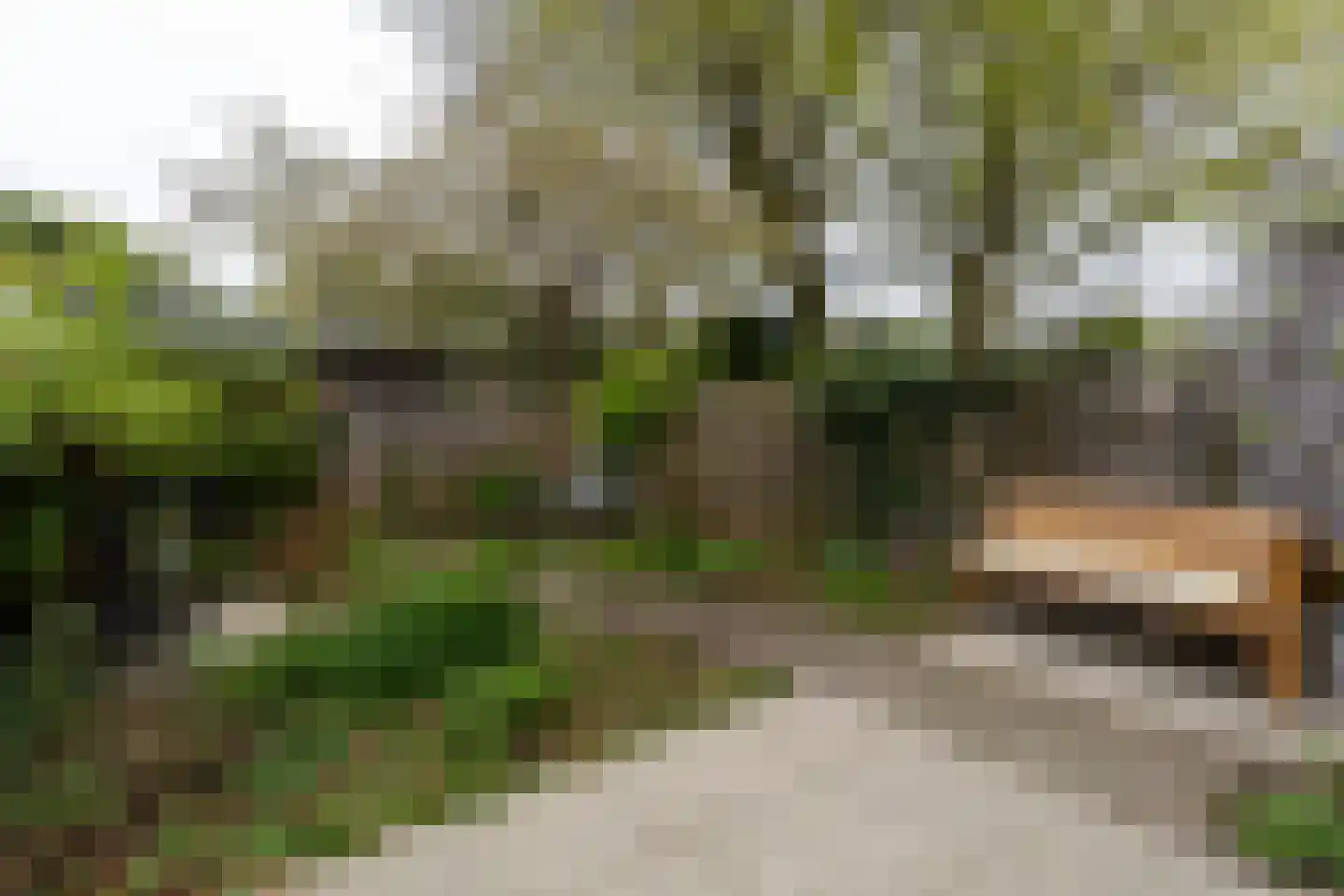 Schimmelpenninckstraat 62 Amersfoort thumbnail 28