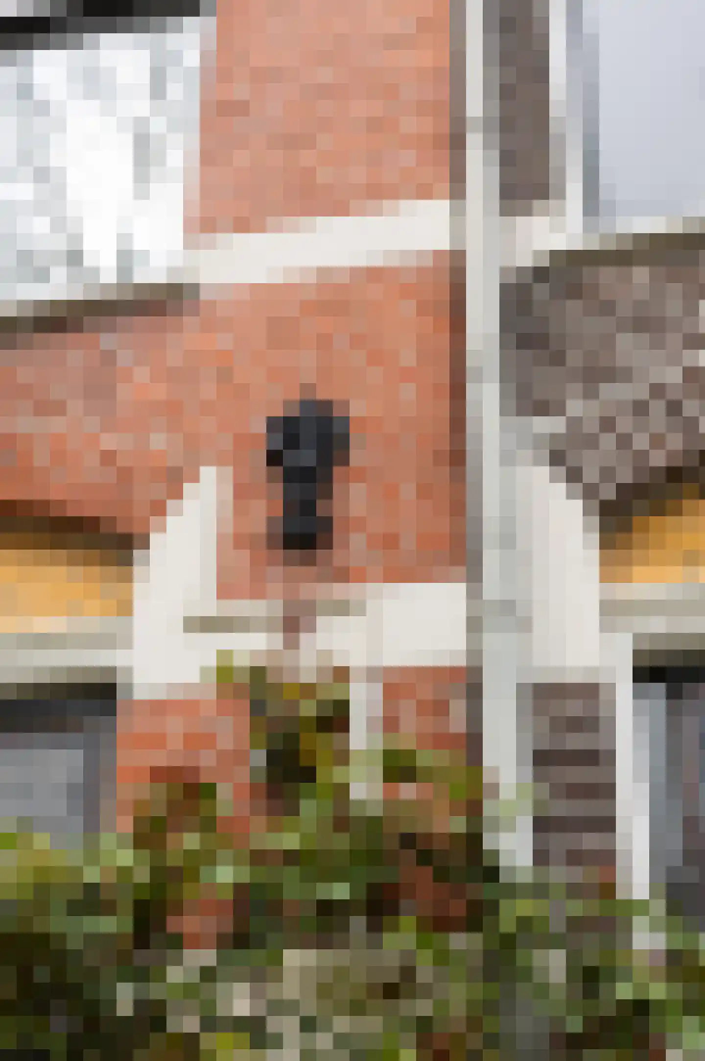 Schimmelpenninckstraat 62 Amersfoort thumbnail 9