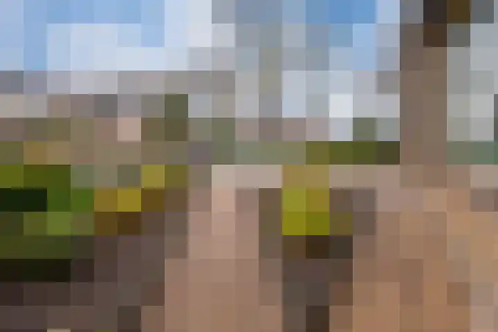 Schimmelpenninckstraat 9 Zevenaar thumbnail 11