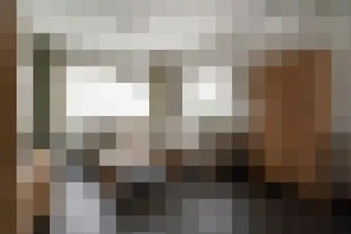 Schimmelpenninckstraat 9 Zevenaar thumbnail 20