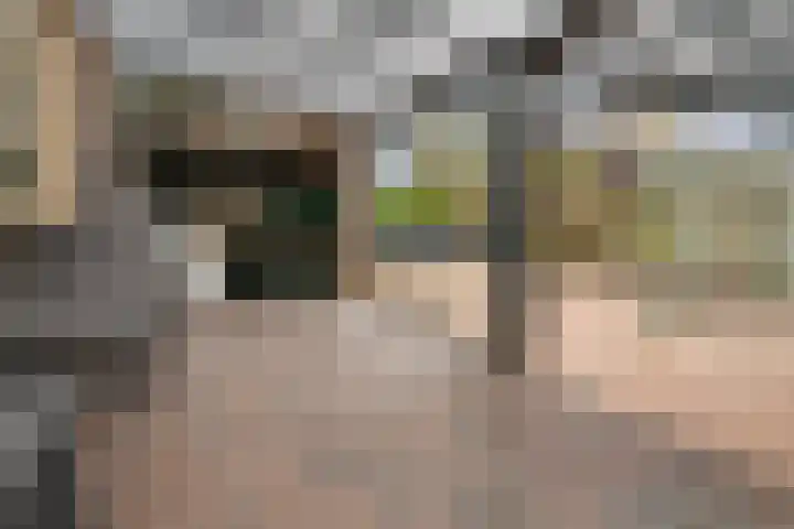 Schimmelpenninckstraat 9 Zevenaar thumbnail 27
