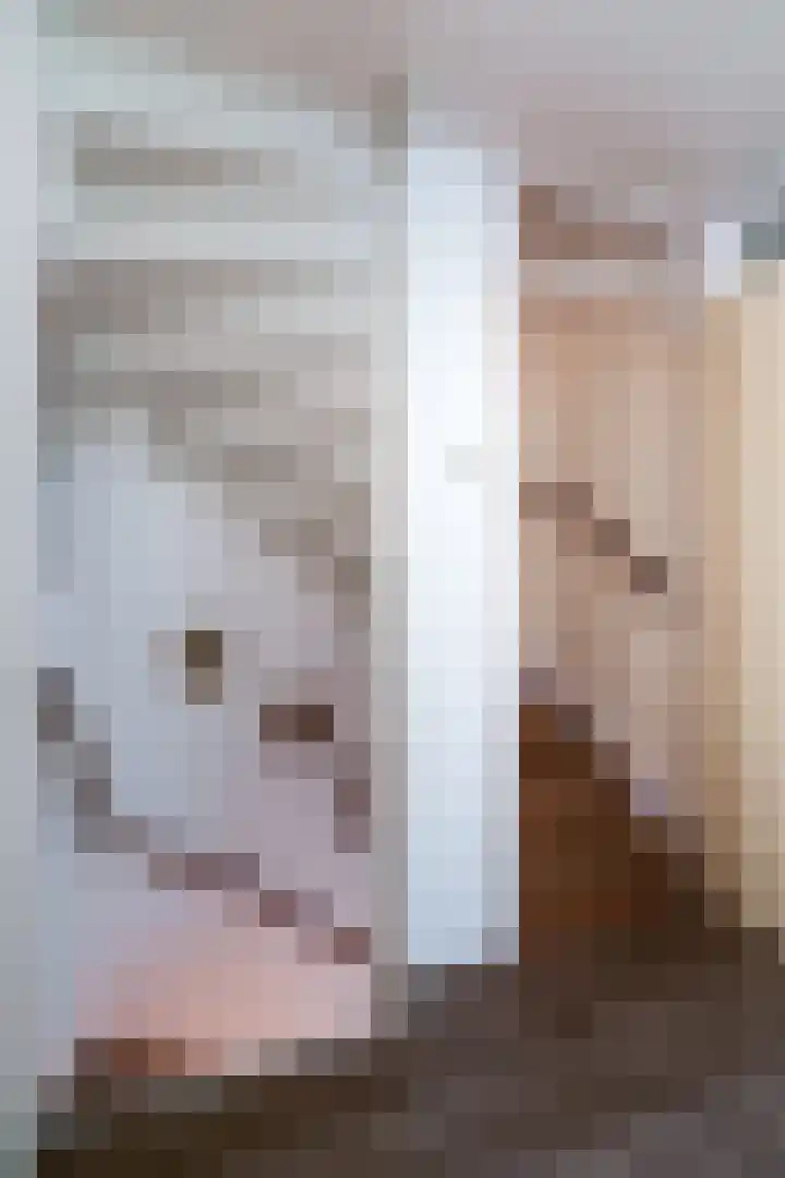 Schimmelpenninckstraat 9 Zevenaar thumbnail 35