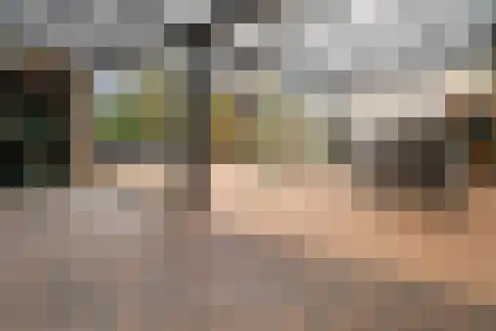 Schimmelpenninckstraat 9 Zevenaar thumbnail 5