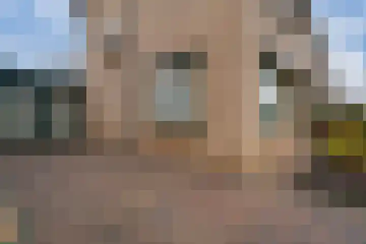 Schimmelpenninckstraat 9 Zevenaar thumbnail 8
