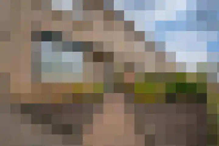 Schimmelpenninckstraat 9 Zevenaar thumbnail 9