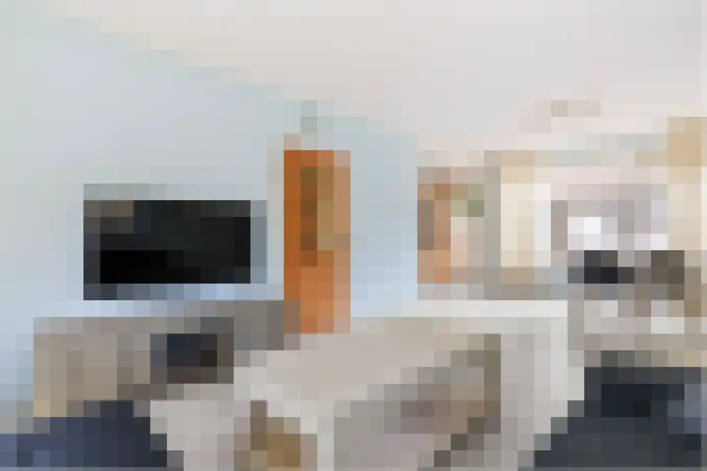Schimmelstraat 10 Harderwijk thumbnail 10