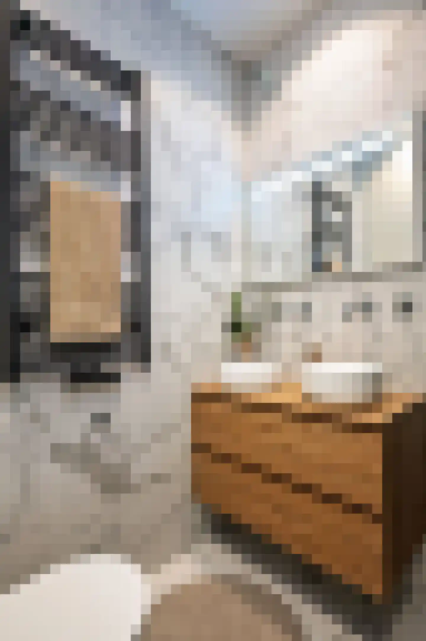 Schimmelstraat 16 4 Amsterdam thumbnail 17
