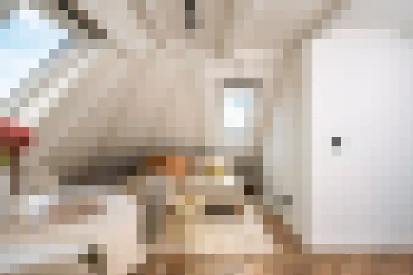 Schimmelstraat 16 4 Amsterdam thumbnail 8