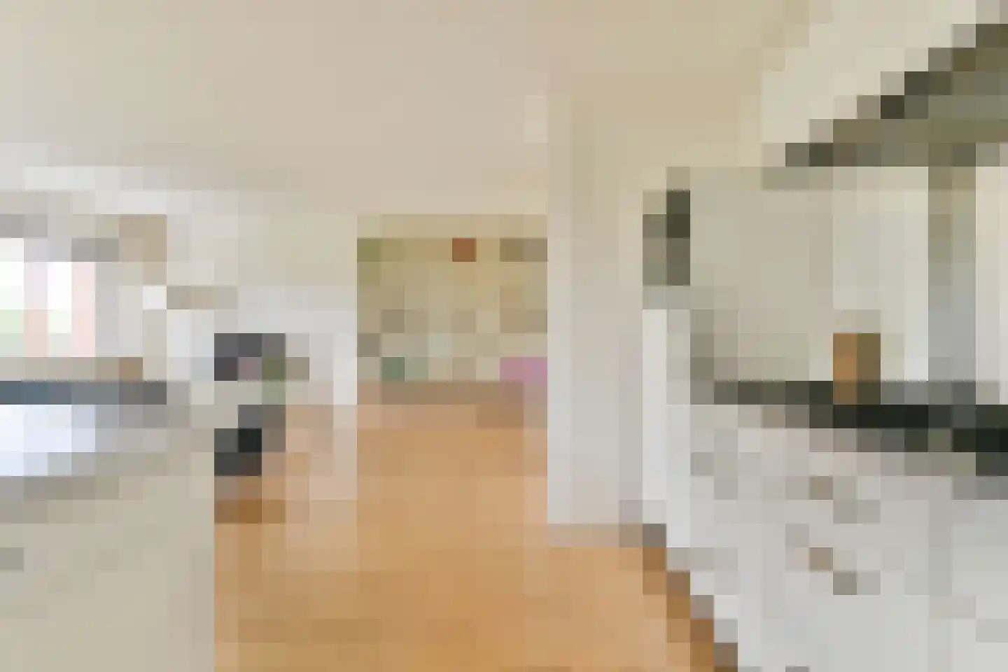 Schimmelstraat 41 H Amsterdam thumbnail 12