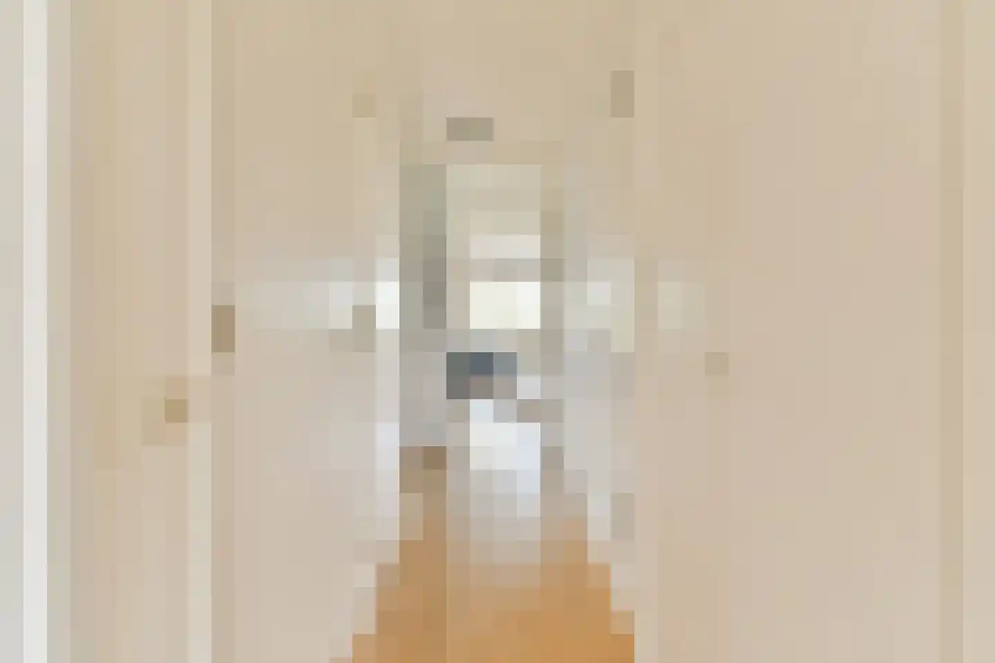 Schimmelstraat 41 H Amsterdam thumbnail 13
