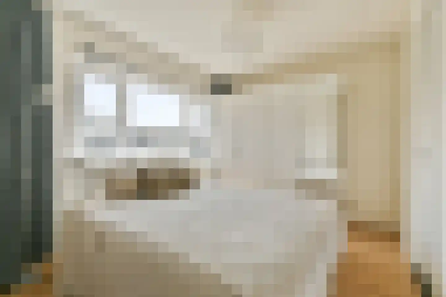 Schimmelstraat 41 H Amsterdam thumbnail 14