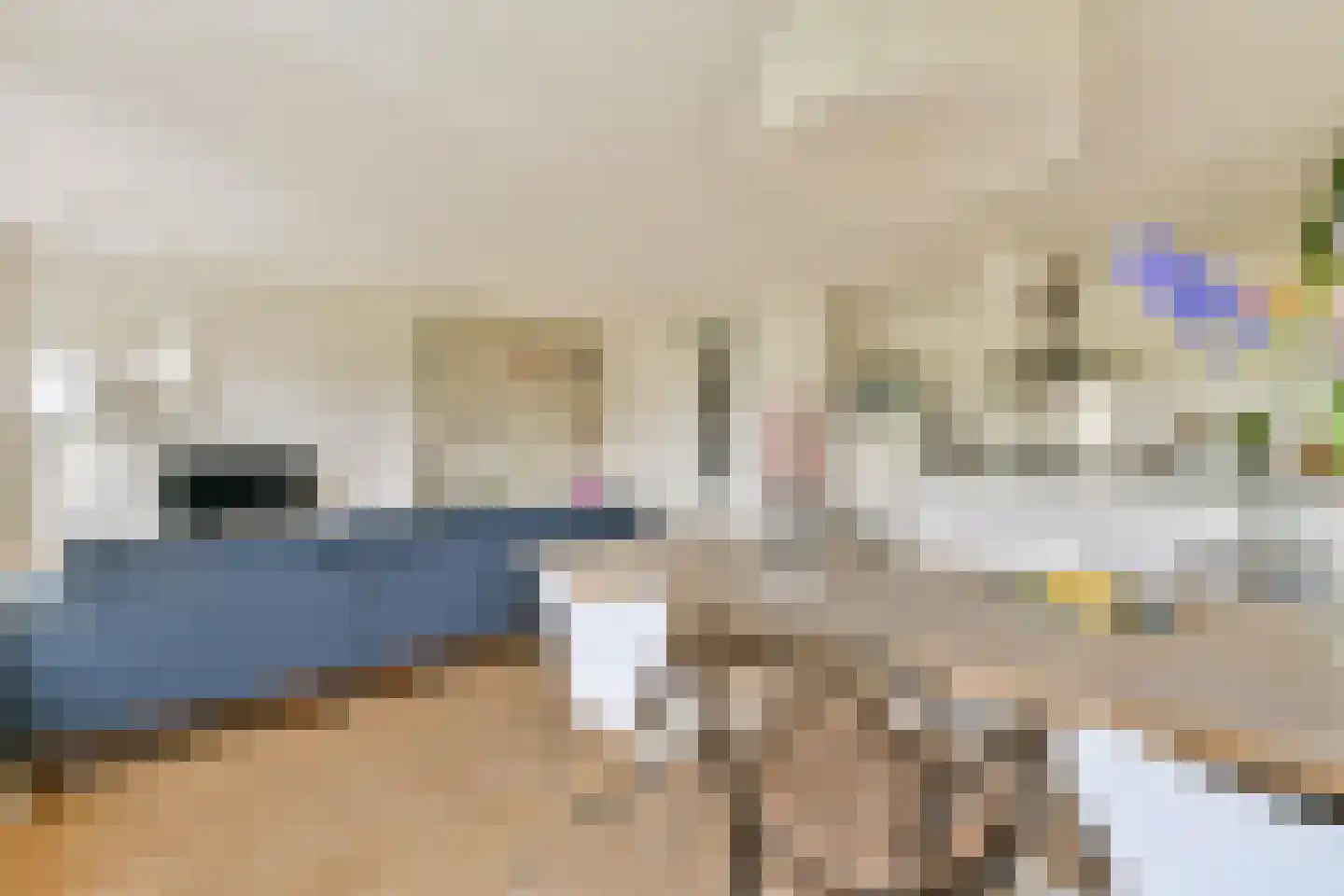 Schimmelstraat 41 H Amsterdam thumbnail 9