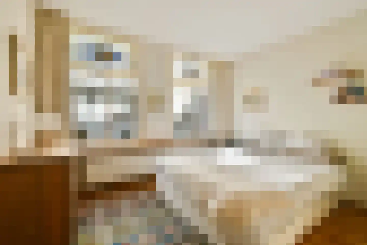 Schimmelstraat 5 1 Amsterdam thumbnail 12