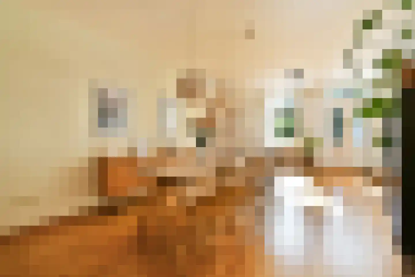 Schimmelstraat 5 1 Amsterdam thumbnail 7