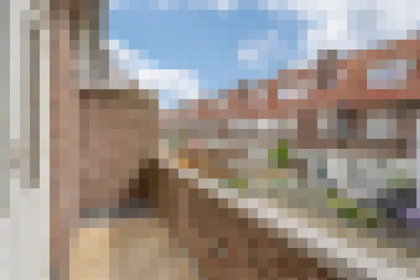 Schimmelweg 108 Den Haag thumbnail 14