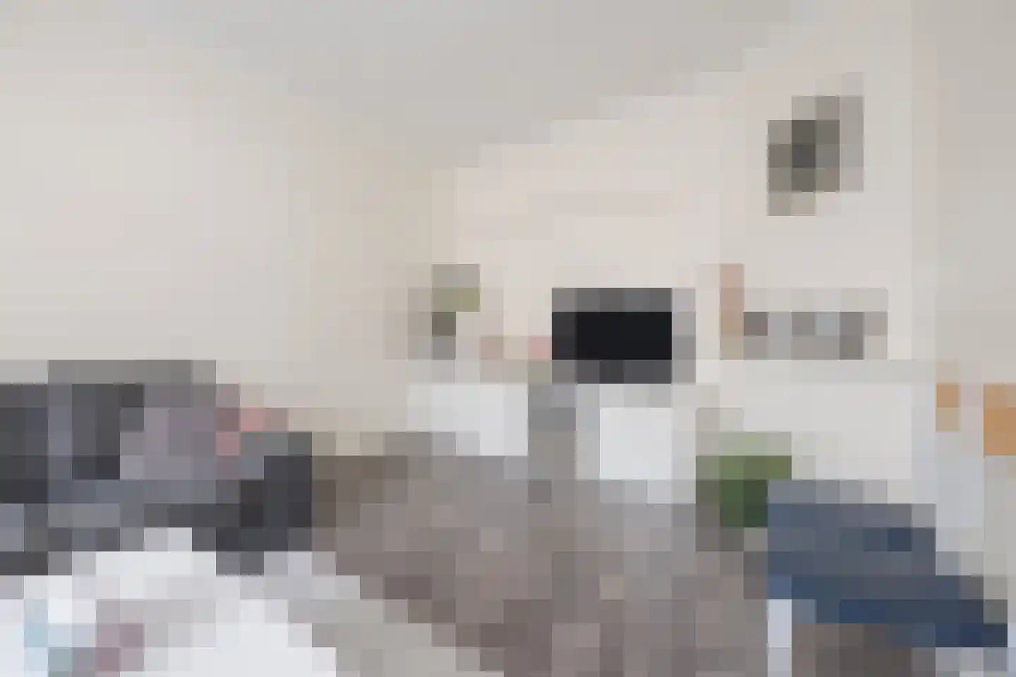 Schimmelweg 22 Den Haag thumbnail 4